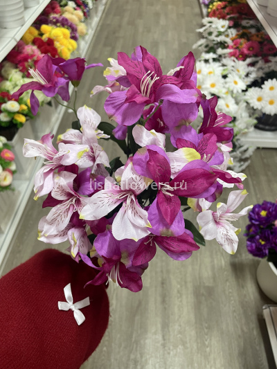 Букет ирисов 14в 50см.Арт. CY23501  