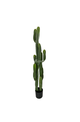 Кактус 155см. Арт.XRB-Z-155cm