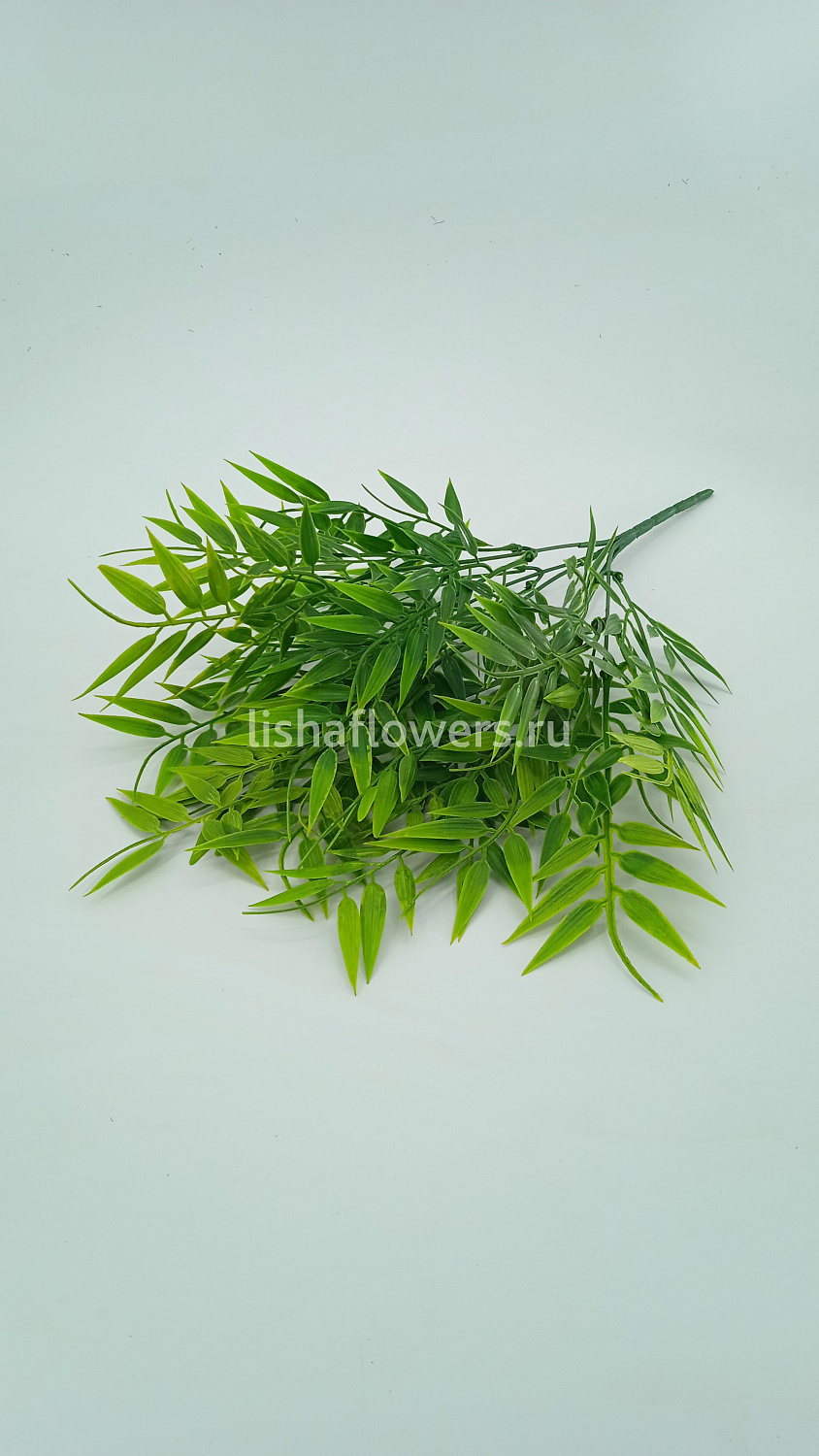 Бамбук цветной 5в 40см.Арт.F23-4
